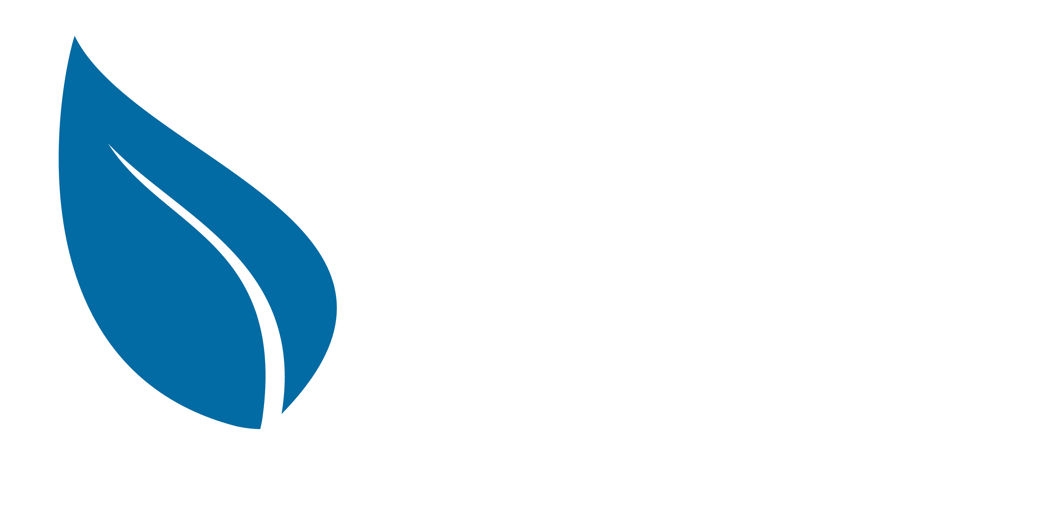 Puerto Buenavista